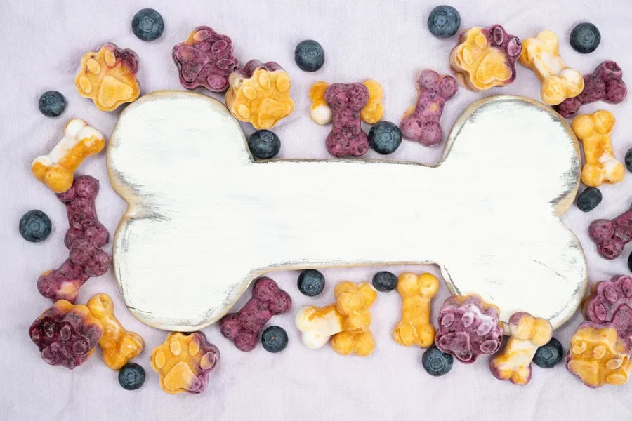 Frozen treats for dogs