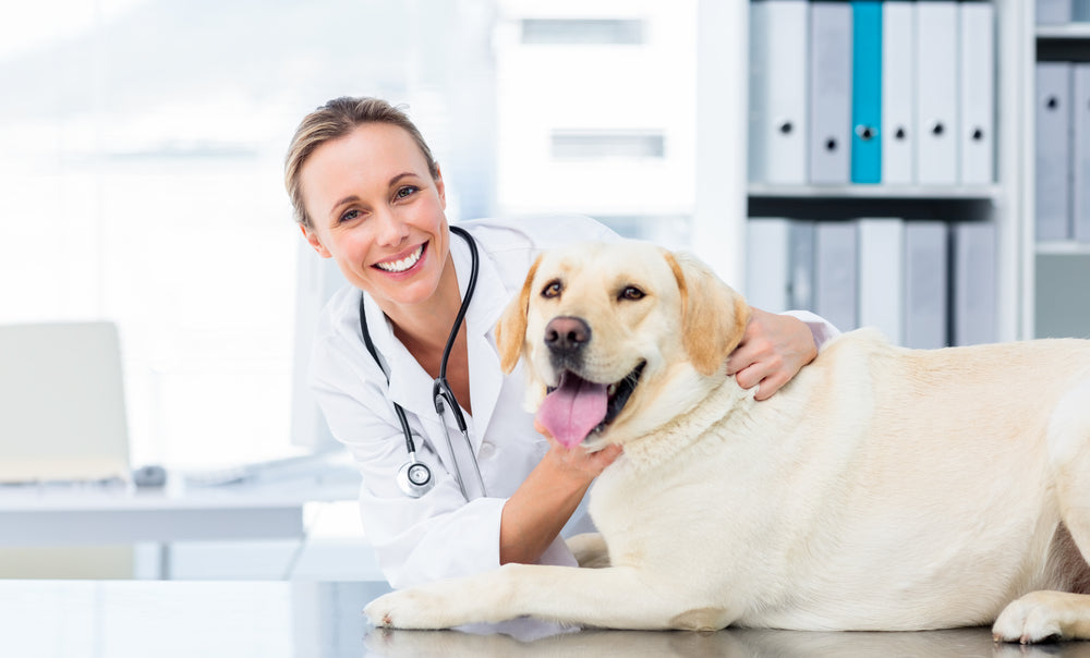 When and how to clean your dog's ears