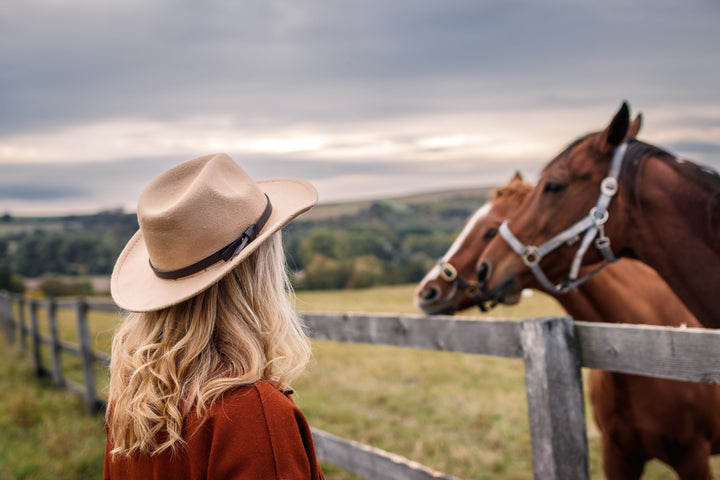 How to stop people feeding your horses  - 6 steps to success