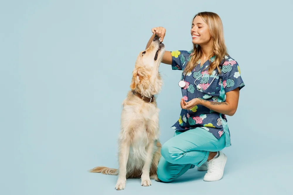 Vet worming a puppy