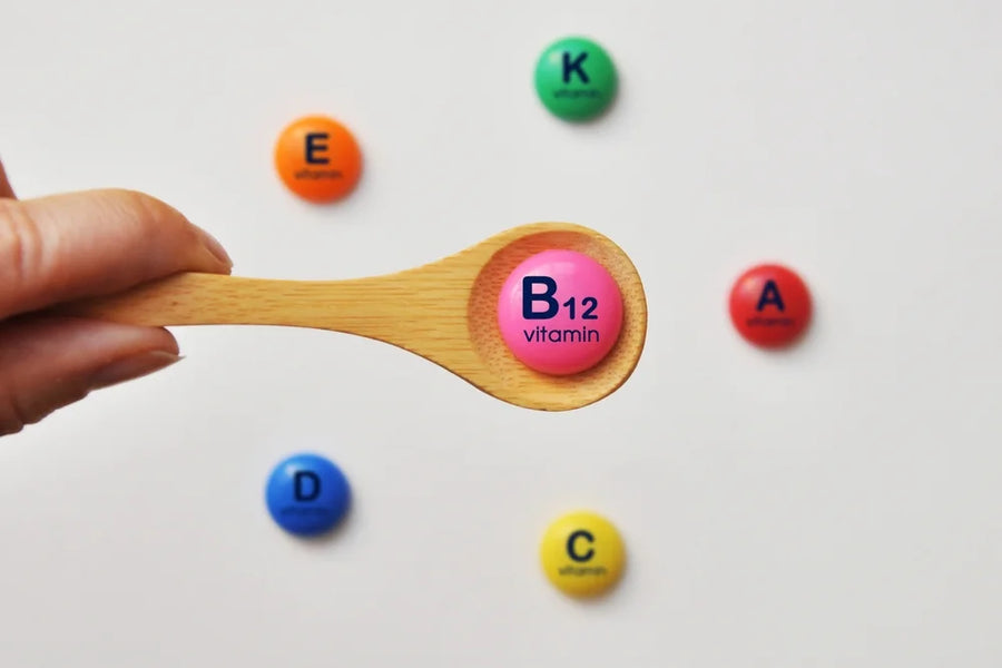 Vitamin B for dogs