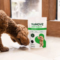 Joint Care One-a-day for Dogs Joints bullet 2