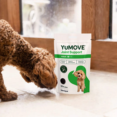 Joint Care One-a-day for Dogs Joints 2