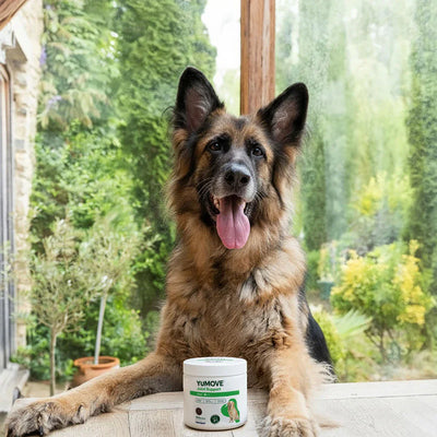 Joint Care Daily Bites for Adult Dogs Joints 150 soft bites 2