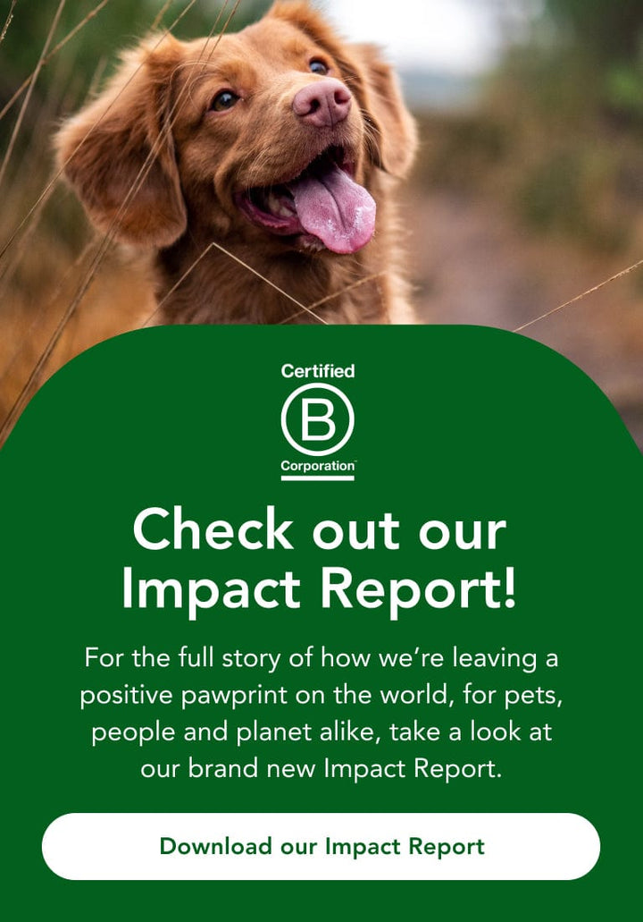 YuMOVE B-CORP IMPACT REPORT