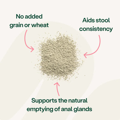 Digestive Care Probiotic & Fibre for Dogs Digestive Health 2