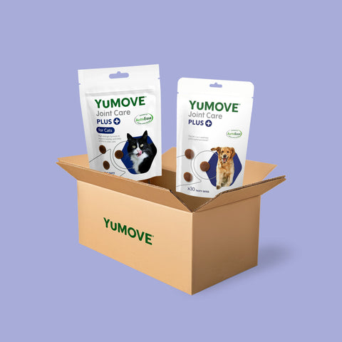 Dog & Cat Bundle Bundle