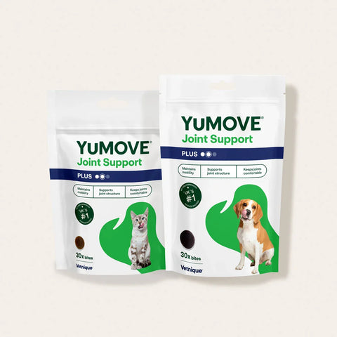 Dog & Cat Bundle Bundle