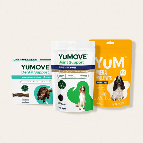 Senior Dog Bundle Bundle