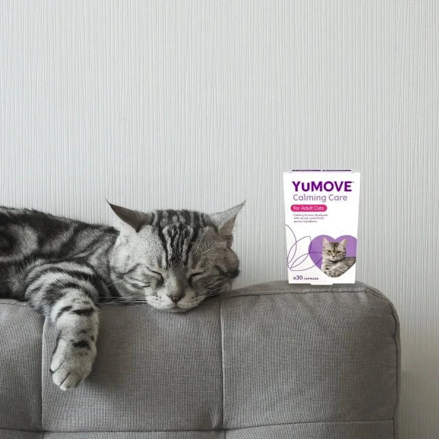 Calming Care for Cats Calming 30 capsules2
