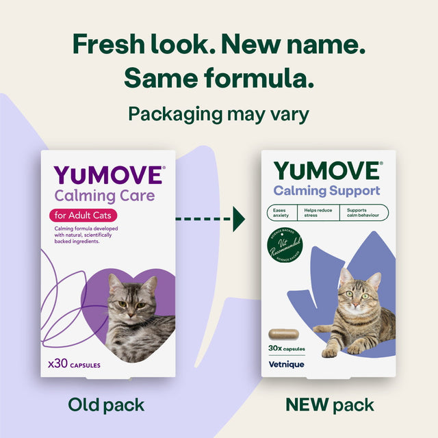 Calming Care for Cats Calming 30 capsules4