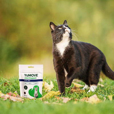 Joint Care PLUS Bites for Cats Joints 30 Bites 2