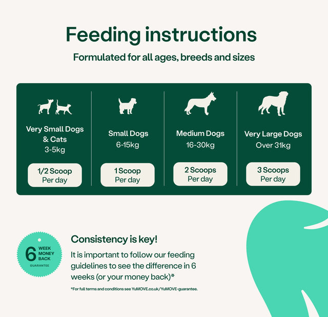 Dental Support Dental Powder for Dogs & Cats Dental Powder 90g Pouch4
