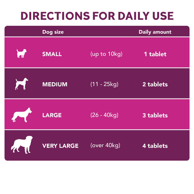 Digestive Care Pre & Probiotic Digestive Health4