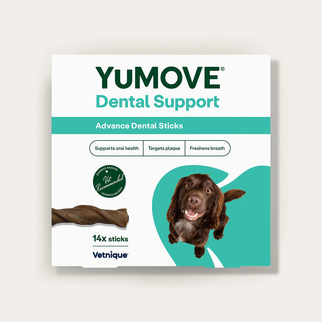 Dental Support Advanced Dental Sticks Dental Sticks1