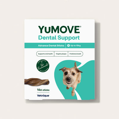 Dental Support Advanced Dental Sticks Dental Sticks 2