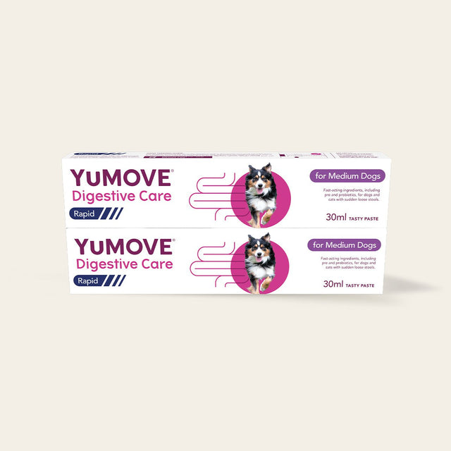 Digestive Care Rapid Digestive Health Medium Dog / Double pack11