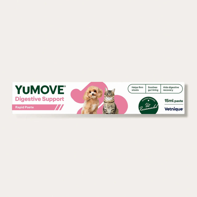 Digestive Care Rapid Digestive Health1