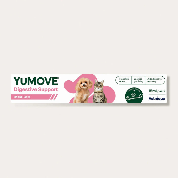 Digestive Care Rapid Digestive Health