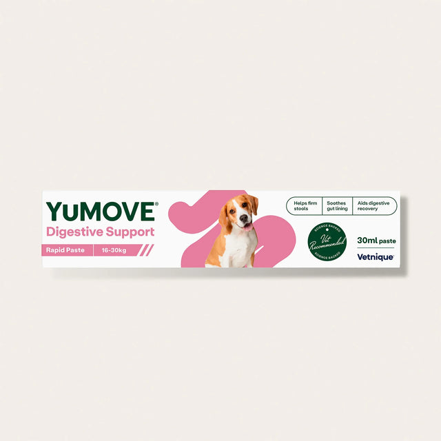 Digestive Care Rapid Digestive Health7