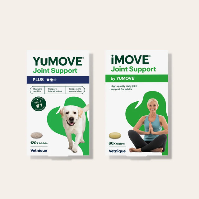 Dog and Me Bundle Bundle1
