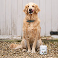 Joint Care Daily Bites for Young Dogs 150 soft bites bullet 2