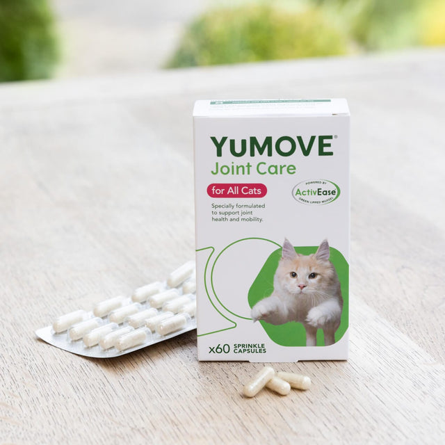 Joint Care for All Cats Joints 60 Capsules5