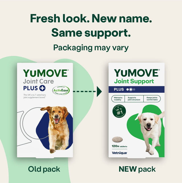 Joint Care PLUS for Dogs Joints4