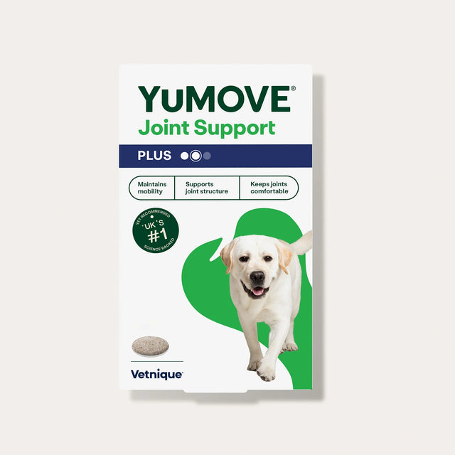 Joint Care PLUS for Dogs Joints1