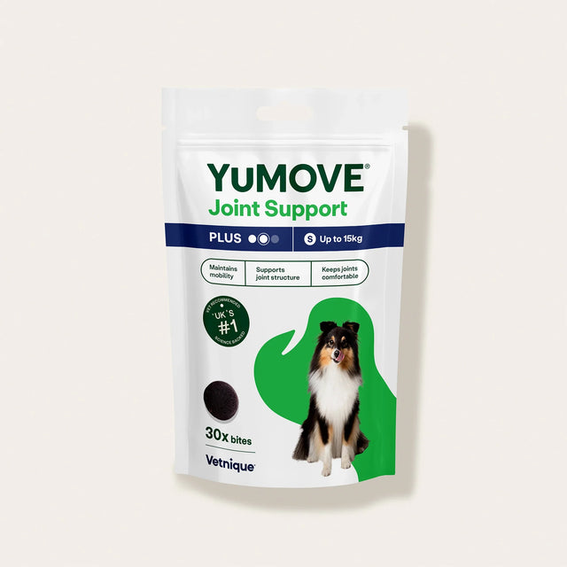 Joint Care PLUS One-A-Day Joints4