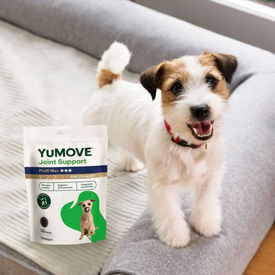 Joint Care PLUS Max Strength Dog Bites Joints 2