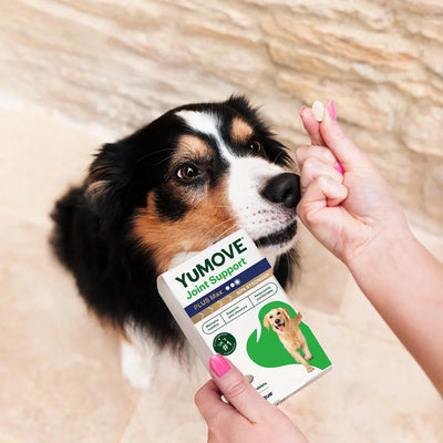 Joint Care PLUS Max Strength for Dogs Joints 2