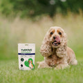 Joint Care PLUS One-A-Day Joints bullet 2