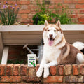 Joint Care PLUS for Dogs - 300 Tablets Joints 300 Tablets bullet 2