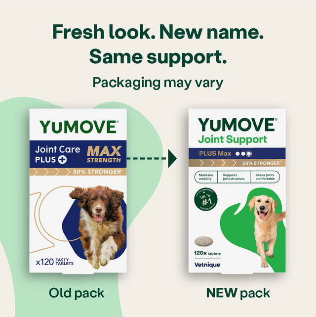 Joint Care PLUS Max Strength for Dogs Joints4