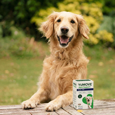 Joint Care PLUS for Dogs Joints 2
