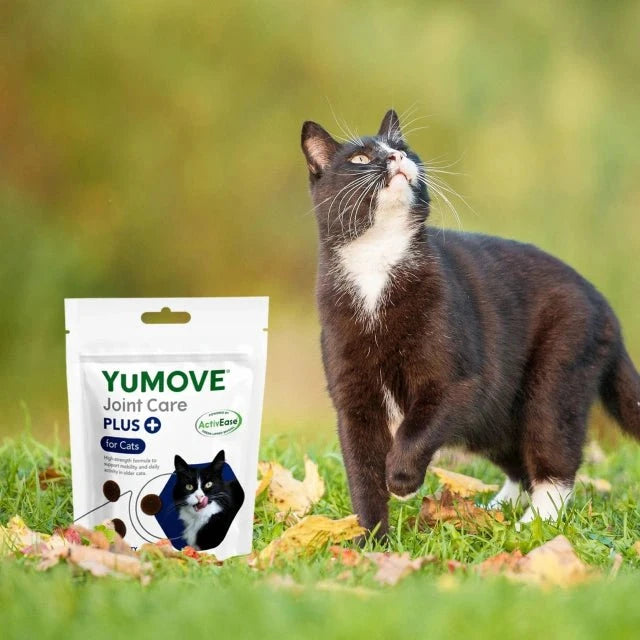 Joint Care PLUS Bites for Cats Joints 30 Bites2
