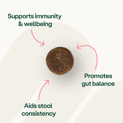 Digestive Support Pre, Pro & Postbiotic Bites Digestive Health 2