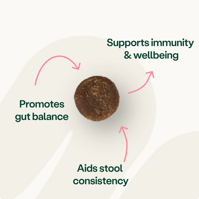 Digestive Support Pre, Pro & Postbiotic Bites Digestive Health 2
