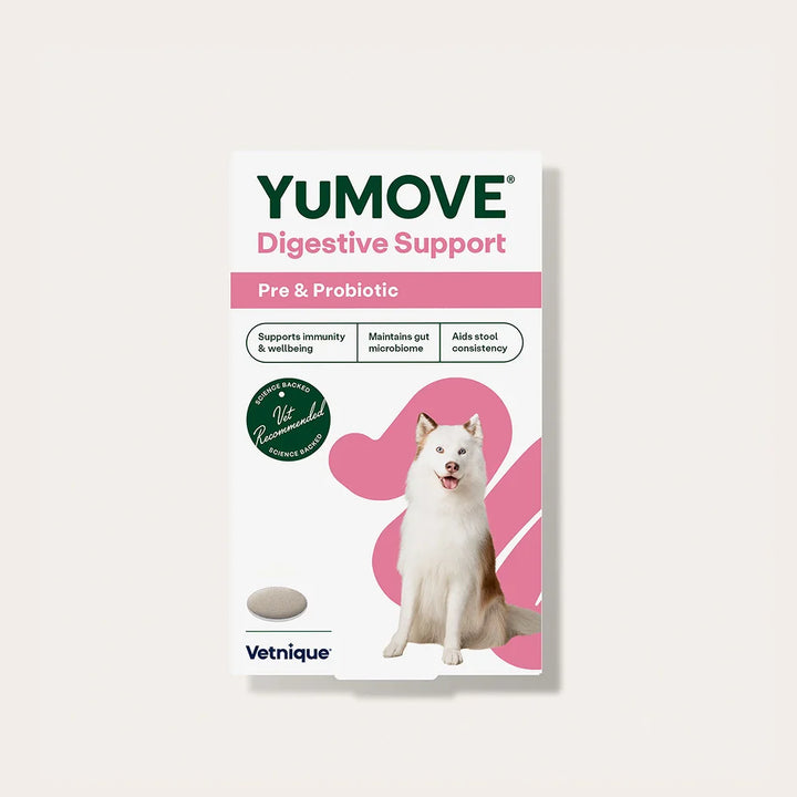 Digestive Support Pre & Probiotic for Dogs Digestive Health