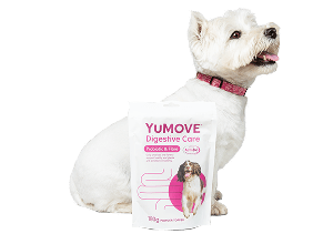 White dog with a package of YUMOVE Digestive Care on a transparent background