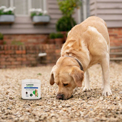 Joint Care Daily Bites for Senior Dogs 150 soft bites 2