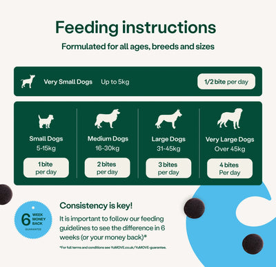 Skin & Coat Care Itch & Immune Daily Bites Skin & Coat 2