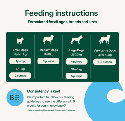 Skin & Coat Care Itching for Dogs Skin & Coat 2