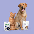 Dog & Cat Bundle Bundle bullet 4