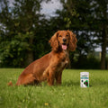 Joint Care for Working Dogs Joints 480 Tablets bullet 2