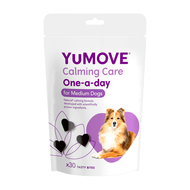 Calming Care One-A-Day for Dogs Calming 30 Bites (Medium Dog)6