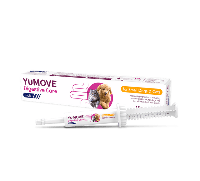 Digestive Care Rapid Digestive Health Small Dog / Single pack6