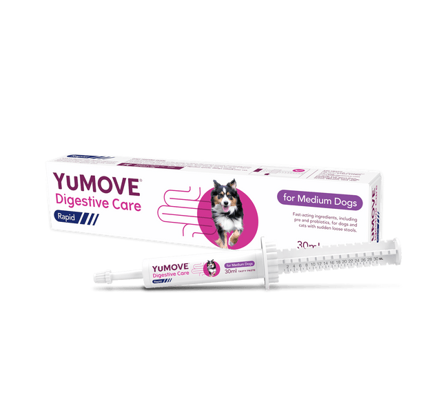 Digestive Care Rapid Digestive Health Medium Dog / Single pack7