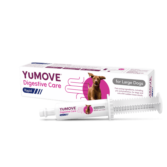 Digestive Care Rapid Digestive Health Large Dog / Single pack8